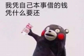 印江融资清欠服务